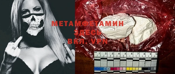 шишки Надым