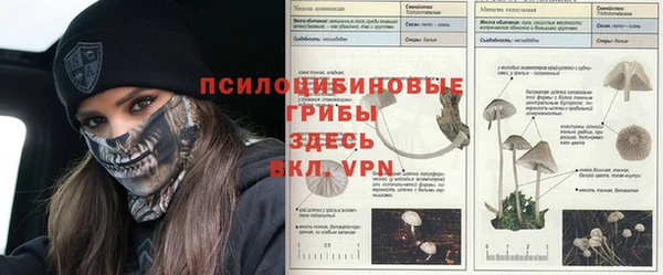 мескалин Медвежьегорск